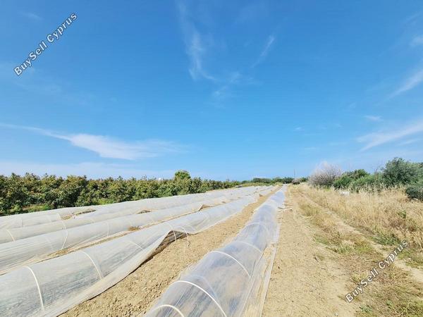 plot for sale gialia paphos 8624836 image 15872466