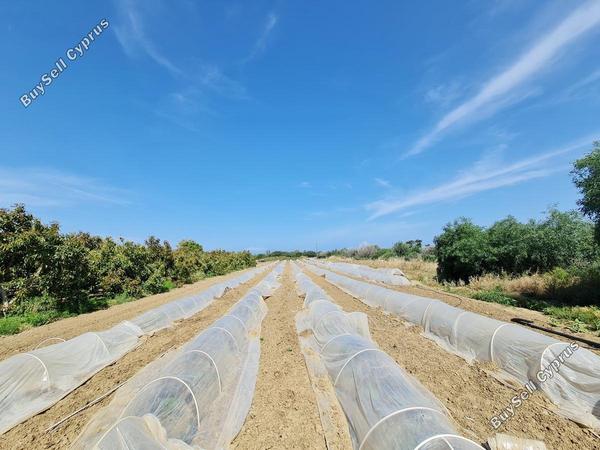plot for sale gialia paphos 8624836 image 15872467
