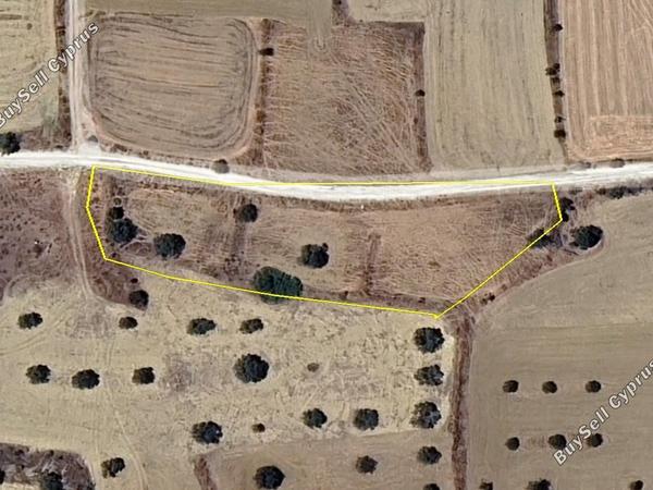 plot for sale pera orinis nicosia 1804836 image 9723696
