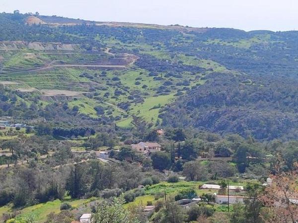 land for sale foinikaria limassol 7745936 image 14477386
