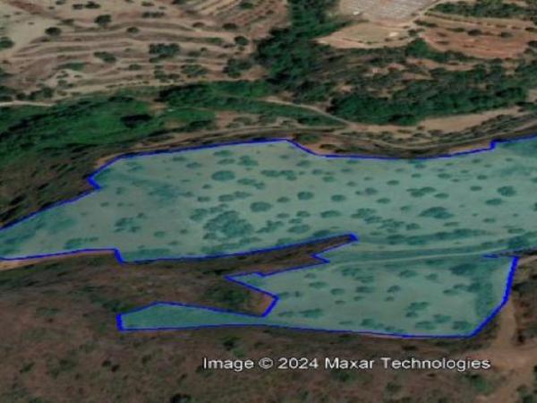 land for sale ora larnaca 1261936 image 16191693