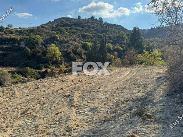 land for sale pachna limassol 7585936 image 9695514
