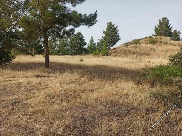 land for sale xyliatos nicosia 1061936 image 16318107