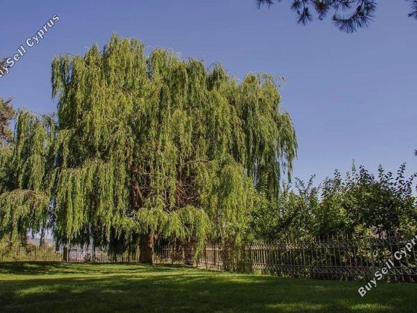 3 bedroom detached house for rent moniatis limassol 1684046 image 14923670
