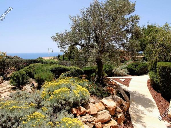4 bedroom detached house for sale aphrodite hills paphos 7543046 image 14840459