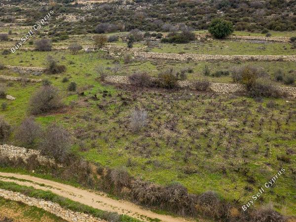 land for sale pachna limassol 848046 image 15603651