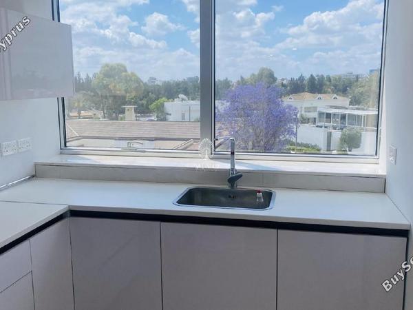 studio office for rent egkomi nicosia 8152046 image 16181791