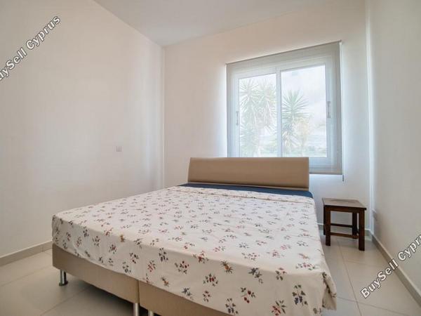 4 bedroom detached house for sale coral bay paphos 7736146 image 12547526