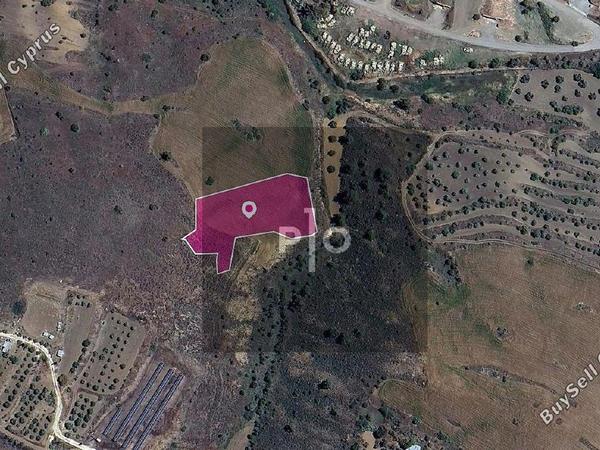 land for sale agrokipia nicosia 8275146 image 15157895