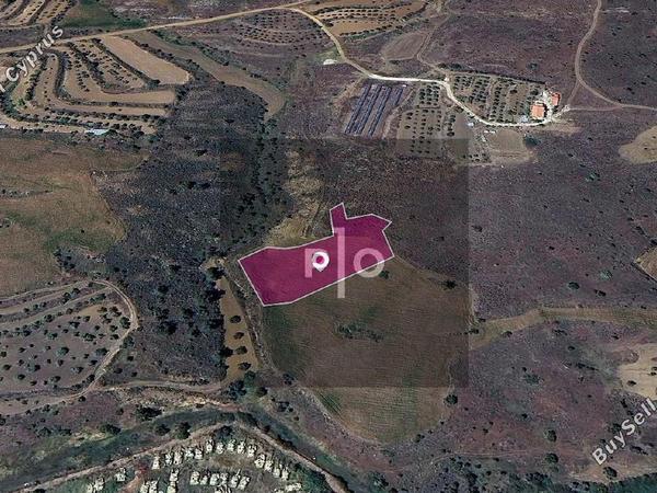 land for sale agrokipia nicosia 8275146 image 15157898