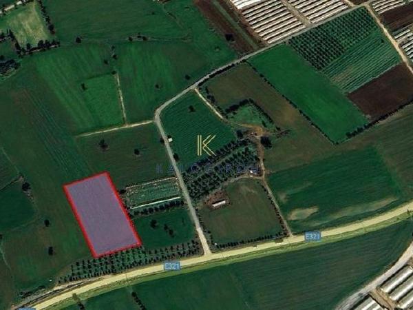 land for sale mazotos larnaca 1615146 image 5705065