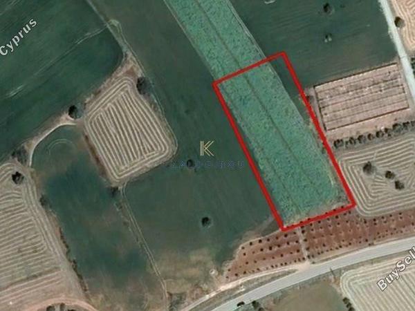 land for sale mazotos larnaca 1615146 image 5705069