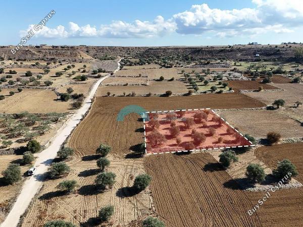 land for sale pera orinis nicosia 7513146 image 9380737