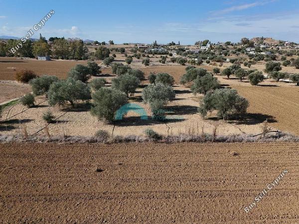 land for sale pera orinis nicosia 7513146 image 9380741