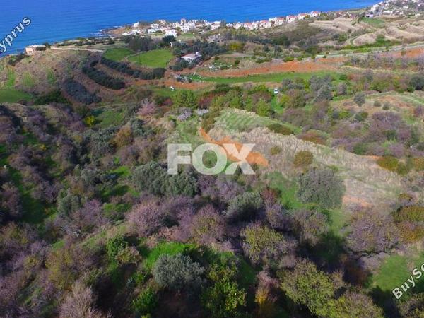 land for sale pomos paphos 8908146 image 17397941