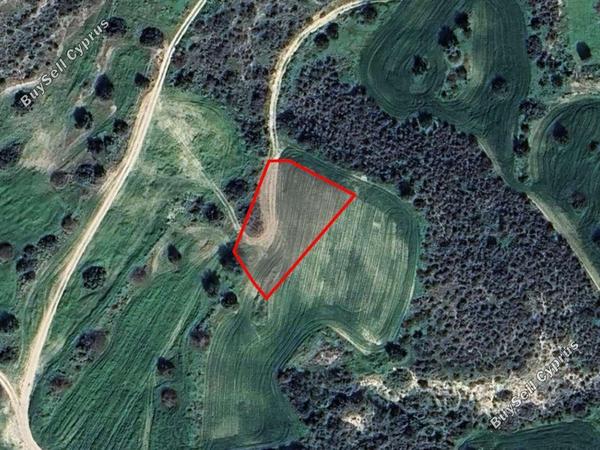 land for sale tochni larnaca 8495146 image 15296515
