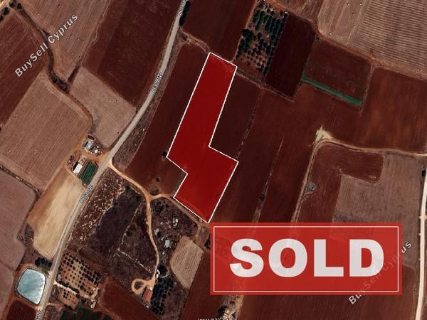 land sold avgorou famagusta 1279146 image 10737845