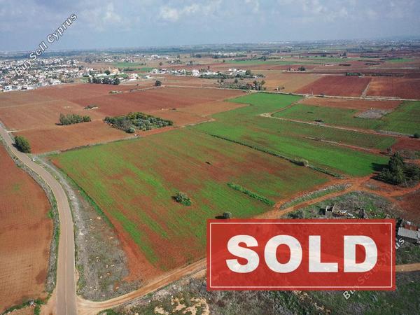 land sold avgorou famagusta 1279146 image 10737848
