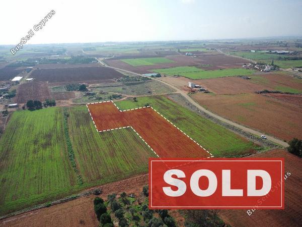 land sold avgorou famagusta 1279146 image 10737849