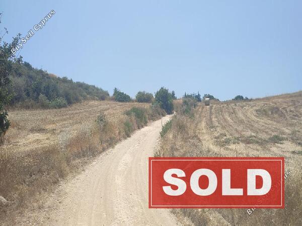 land sold choirokoitia larnaca 1286146 image 2314113