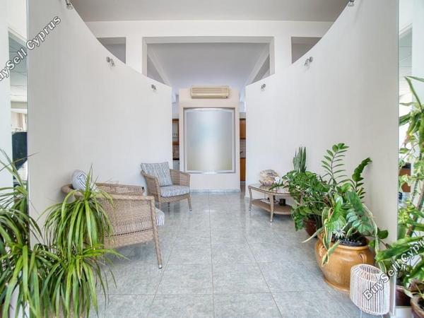 studio office for rent paphos municipality paphos 8500146 image 15328003