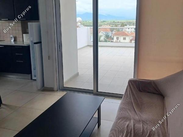 1 bedroom apartment for rent geri nicosia 8578246 image 16337044