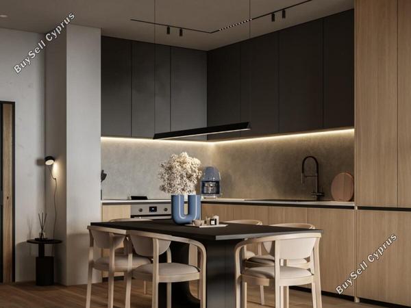 2 bedroom penthouse for sale aradippou larnaca 1838246 image 6539142