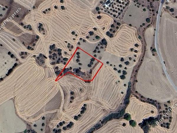land for sale agrokipia nicosia 7463246 image 15257476