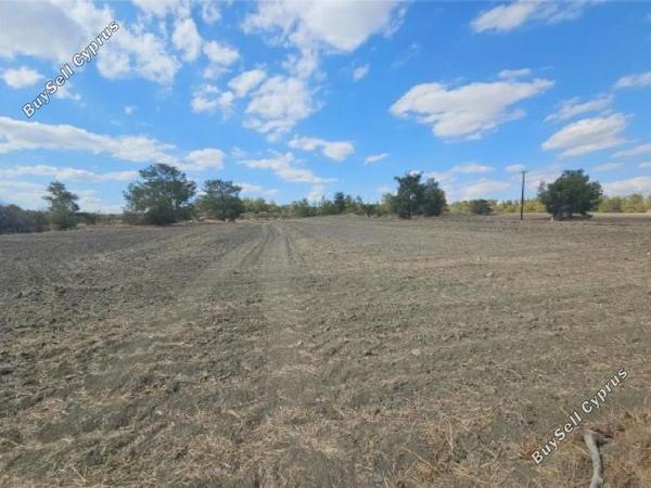 land for sale lythrodontas nicosia 7953246 image 15596653