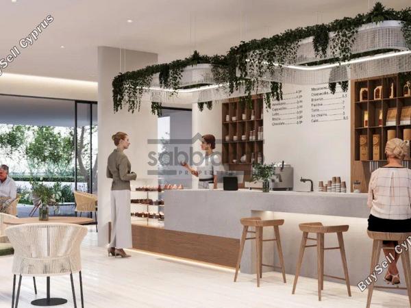 1 bedroom apartment for sale geroskipou paphos 8798346 image 16714675