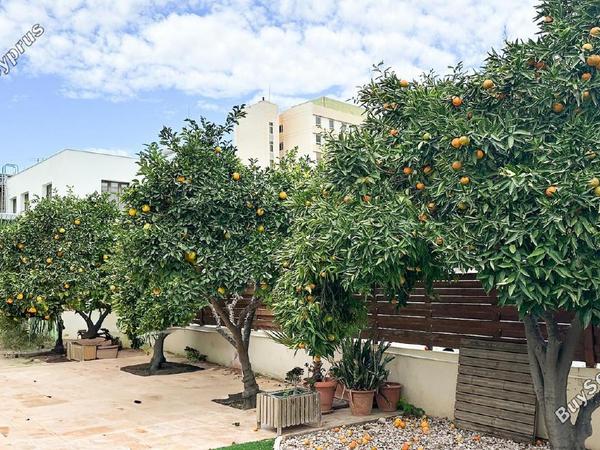 5 bedroom detached house for sale larnaca municipality larnaca 7971346 image 13783882