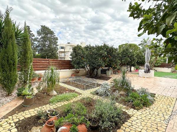 5 bedroom detached house for sale larnaca municipality larnaca 7971346 image 13783884