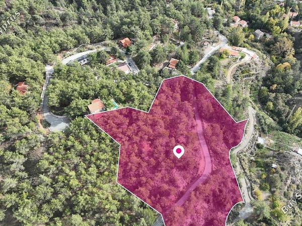 plot for sale pera pedi limassol 1242346 image 16530411