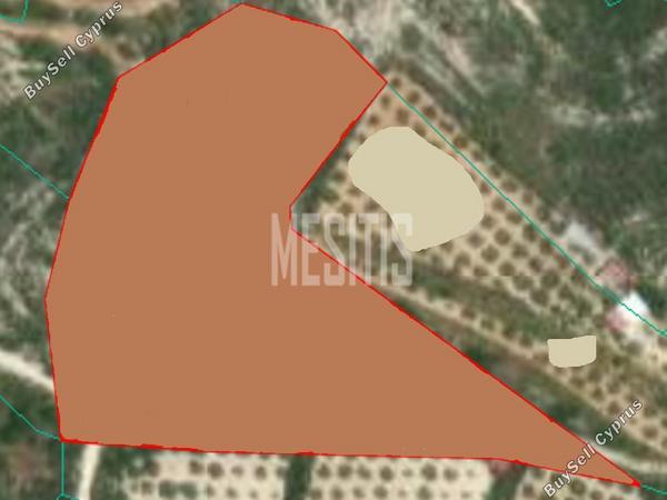 land for sale alassa limassol 975446 image 11041140