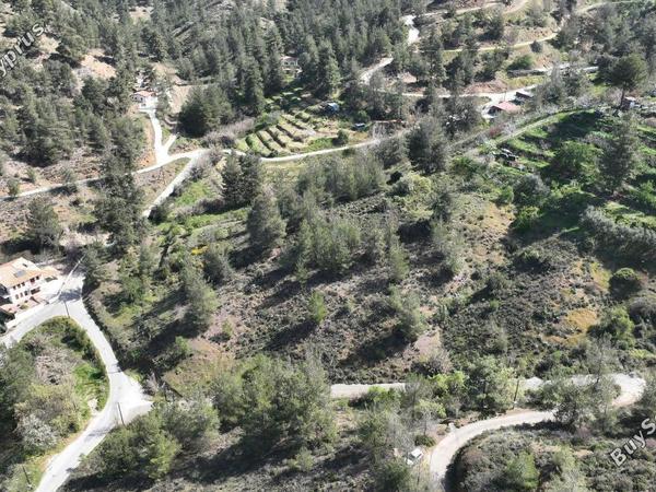 land for sale kakopetria nicosia 1395446 image 13348032