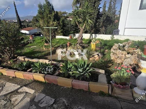3 bedroom detached house for rent moni limassol 8244546 image 16268391
