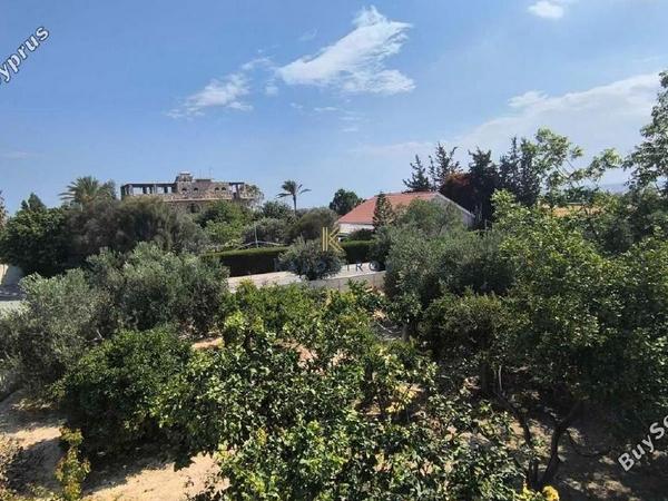 5 bedroom detached house for sale anafotida larnaca 1828546 image 6436333