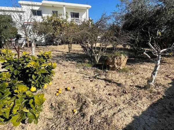 5 bedroom detached house for sale anafotida larnaca 1828546 image 6436335