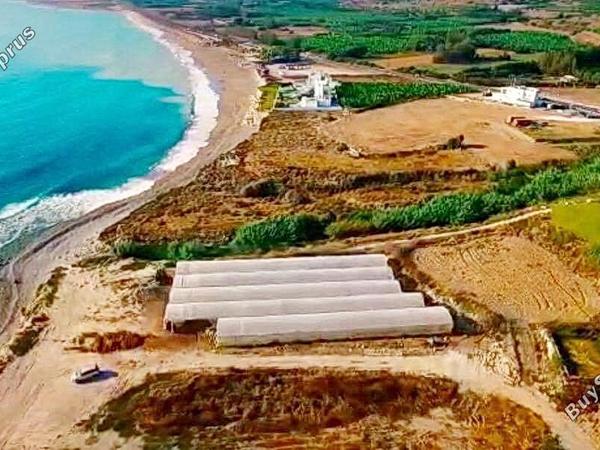 land for sale kissonerga paphos 1624546 image 4121993