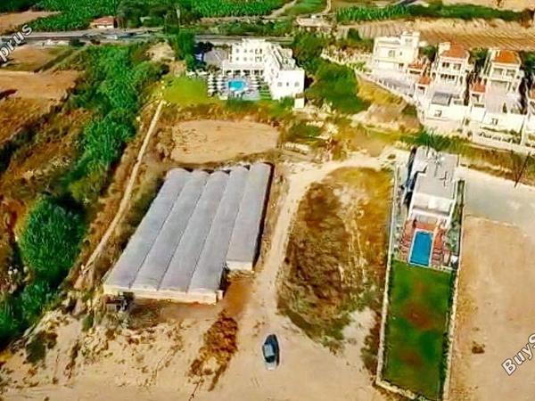 land for sale kissonerga paphos 1624546 image 4121997