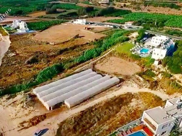 land for sale kissonerga paphos 1624546 image 4122003