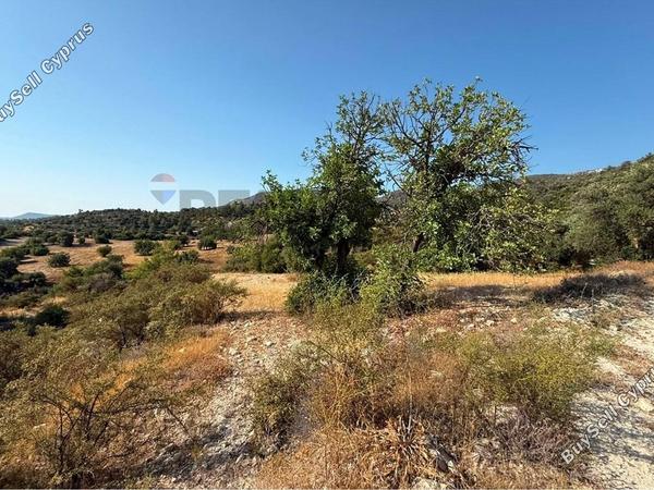 land for sale mathikoloni limassol 9009546 image 18399091