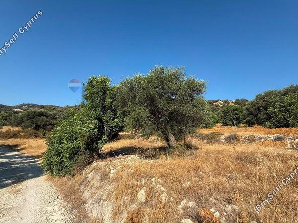 land for sale mathikoloni limassol 9009546 image 18399094