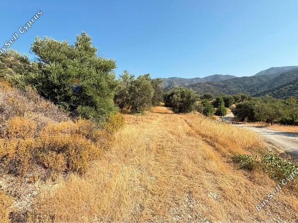 land for sale mathikoloni limassol 9009546 image 18399098