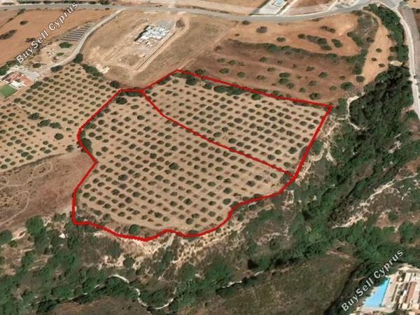 land for sale tala paphos 7738546 image 11940231