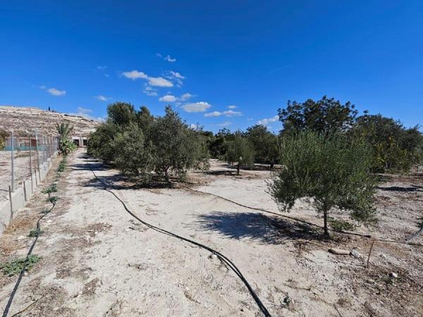 plot for sale aradippou larnaca 1581546 image 16121854