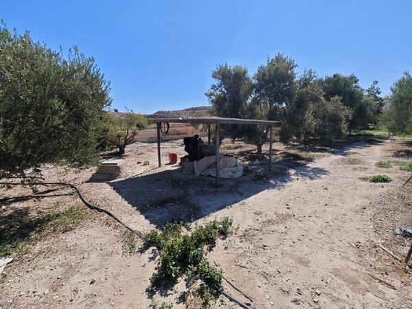 plot for sale aradippou larnaca 1581546 image 16121859