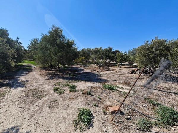plot for sale aradippou larnaca 1581546 image 16121863