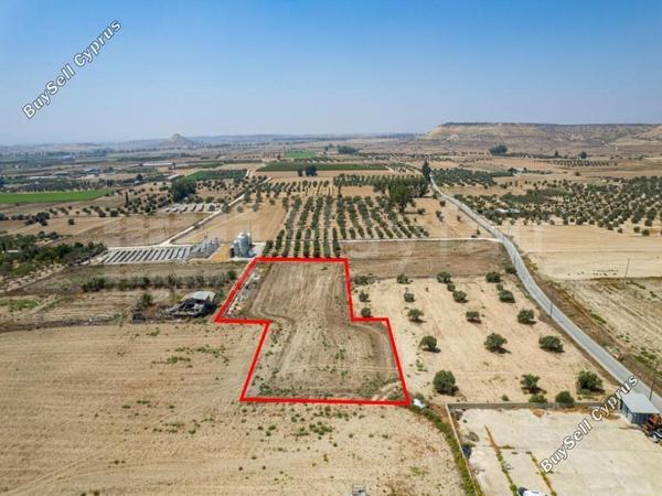 plot for sale athienou larnaca 7873546 image 11393000