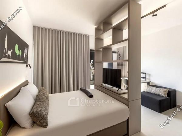 studio apartment for rent agios dometios nicosia 8346546 image 16338894